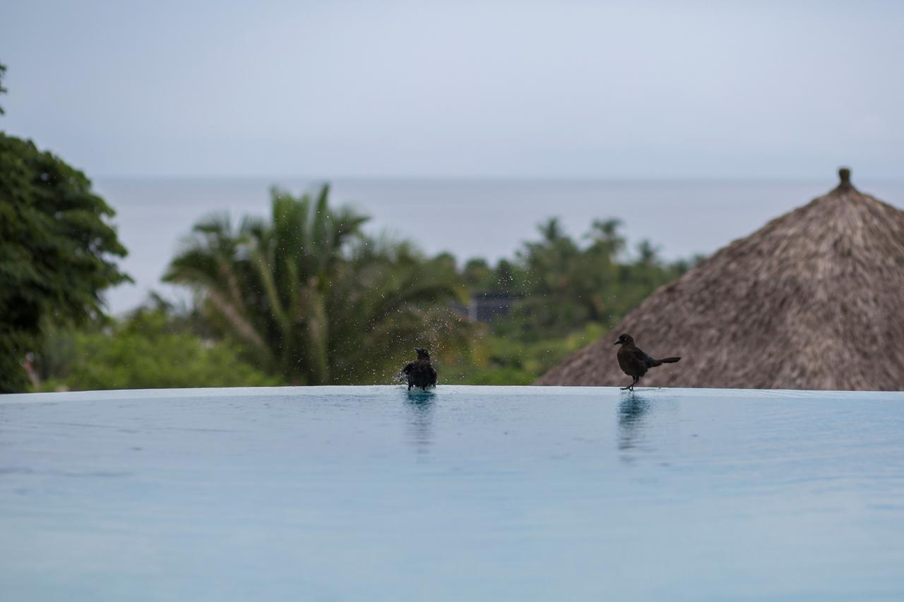 Anjali Casa Divina Hotell Sayulita Eksteriør bilde